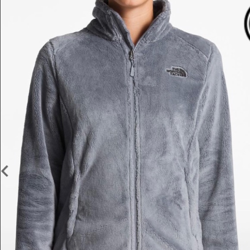 The north face Osito jacket